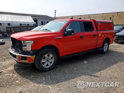 2016 FORD F150 SUPERCREW 1FTFW1EG0GKE99109 - główne zdjęcie licytacji z USA - miniatura