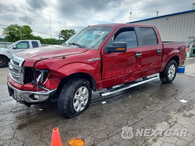 2013 FORD F150 SUPERCREW 1FTFW1EF3DFA60742 - główne zdjęcie licytacji z USA - miniatura
