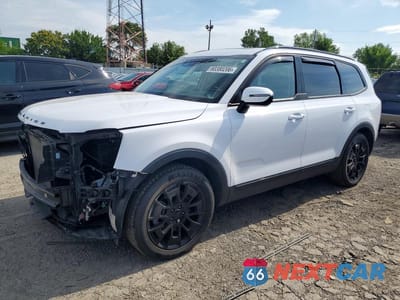 2021 KIA TELLURIDE EX 5XYP3DHC6MG176353 - główne zdjęcie licytacji z USA - miniatura