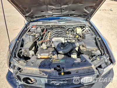 Zdjęcie 11 z 12 samochodu: 2006 FORD MUSTANG GT VIN:1ZVFT82H565154165 - miniatura