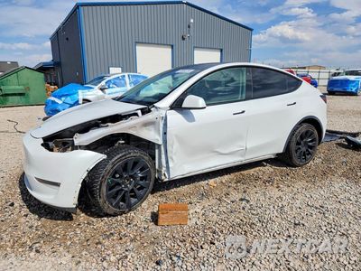 2023 TESLA MODEL Y 7SAYGDEE1PF605427 - główne zdjęcie licytacji z USA - miniatura