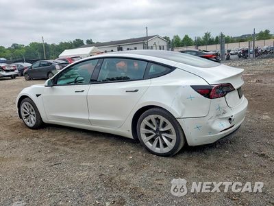 Drugie zdjęcie samochodu z przodu: 2023 TESLA MODEL 3 VIN:5YJ3E1EA8PF451808 - miniatura