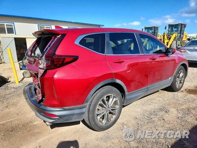 Trzecie zdjęcie samochodu z tyłu: 2020 HONDA CR-V EX VIN:5J6RW1H55LA012441 - miniatura