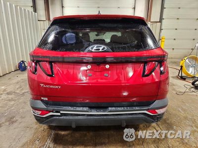 Zdjęcie 6 z 14 samochodu: 2024 HYUNDAI TUCSON SEL VIN:5NMJB3DE3RH409502 - miniatura
