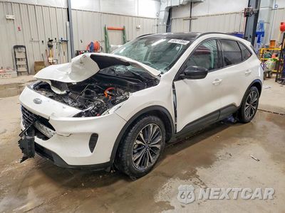2022 FORD ESCAPE SE 1FMCU0BZ4NUB06900 - główne zdjęcie licytacji z USA - miniatura