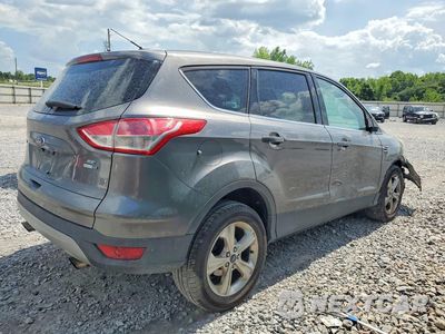 Trzecie zdjęcie samochodu z tyłu: 2014 FORD ESCAPE SE VIN:1FMCU9G93EUA30910 - miniatura