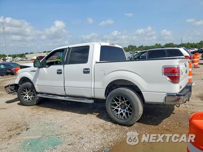 Drugie zdjęcie samochodu z przodu: 2013 FORD F150 SUPERCREW VIN:1FTEW1CM4DKD89292 - miniatura