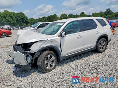 2024 HONDA PILOT EXL 5FNYG1H48RB033449 - główne zdjęcie licytacji z USA - miniatura