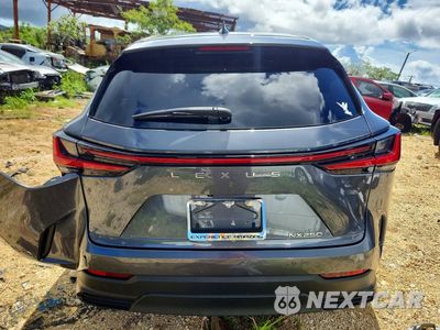 Zdjęcie 6 z 13 samochodu: 2024 LEXUS NX 250 PREMIUM VIN:JTJGDCAZ8R2010534 - miniatura