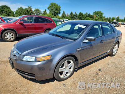 2004 ACURA TL 19UUA66234A063590 - główne zdjęcie licytacji z USA - miniatura