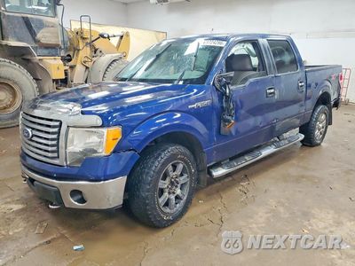 2010 FORD F150 SUPERCREW 1FTFW1EV7AFD00376 - główne zdjęcie licytacji z USA - miniatura