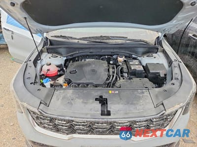 Zdjęcie 11 z 13 samochodu: 2024 KIA SORENTO S VIN:5XYRLDJC2RG278436 - miniatura