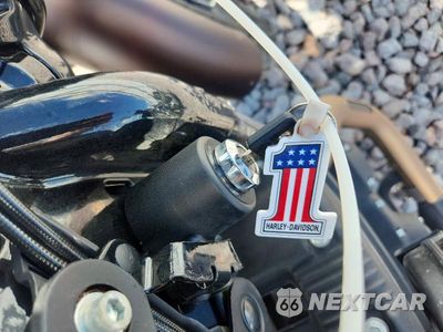 Zdjęcie 8 z 9 samochodu: 2019 HARLEY-DAVIDSON XL883 N VIN:1HD4LE213KC434425 - miniatura
