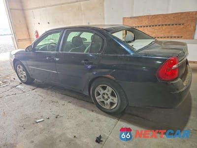 Drugie zdjęcie samochodu z przodu: 2006 CHEVROLET MALIBU LT VIN:1G1ZT51F76F174483 - miniatura