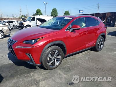 2021 LEXUS NX 300H BASE JTJGJRDZ6M5015293 - główne zdjęcie licytacji z USA - miniatura