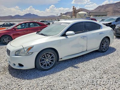 2014 NISSAN MAXIMA 3.5 S 1N4AA5AP3EC449503 - główne zdjęcie licytacji z USA - miniatura