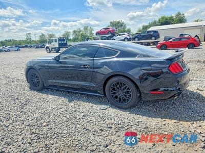 Drugie zdjęcie samochodu z przodu: 2017 FORD MUSTANG VIN:1FA6P8AM9H5276753 - miniatura