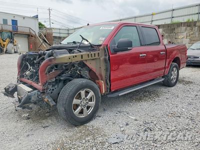 2019 FORD F150 SUPERCREW 1FTEW1EP7KFA04370 - główne zdjęcie licytacji z USA - miniatura