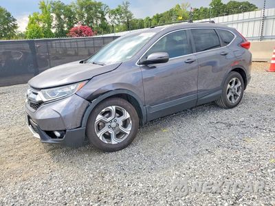 2019 HONDA CR-V EX 5J6RW2H55KL011363 - główne zdjęcie licytacji z USA - miniatura