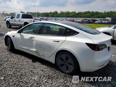Drugie zdjęcie samochodu z przodu: 2021 TESLA MODEL 3 VIN:5YJ3E1EBXMF035604 - miniatura