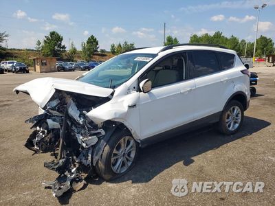 2017 FORD ESCAPE SE 1FMCU9GD5HUA27077 - główne zdjęcie licytacji z USA - miniatura