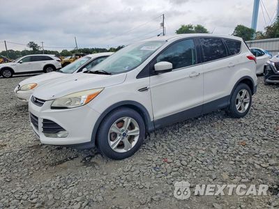 2014 FORD ESCAPE SE 1FMCU0GX8EUC53390 - główne zdjęcie licytacji z USA - miniatura