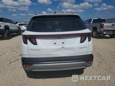 Zdjęcie 6 z 12 samochodu: 2025 HYUNDAI TUCSON SEL CONVENIENCE VIN:KM8JCDD16SU304074 - miniatura