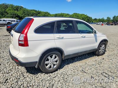 Trzecie zdjęcie samochodu z tyłu: 2008 HONDA CR-V EXL VIN:5J6RE48788L049114 - miniatura