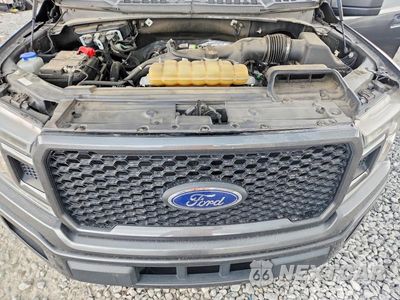 Zdjęcie 11 z 12 samochodu: 2020 FORD F150 SUPERCREW VIN:1FTEW1CP4LFC51320 - miniatura