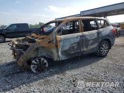 2019 HONDA PILOT EXL 5FNYF6H59KB062831 - główne zdjęcie licytacji z USA - miniatura