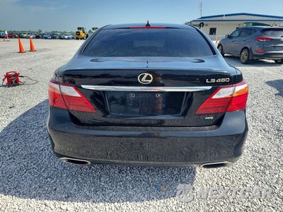 Zdjęcie 6 z 13 samochodu: 2011 LEXUS LS 460 VIN:JTHCL5EF2B5010368 - miniatura