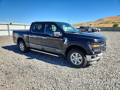 Czwarte zdjęcie samochodu z boku: 2024 FORD F150 XLT VIN:1FTFW3LD4RFA25308 - miniatura