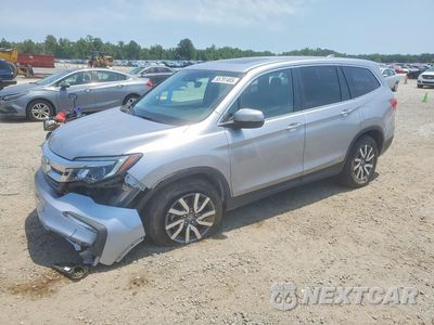 2019 HONDA PILOT EXL 5FNYF5H44KB040317 - główne zdjęcie licytacji z USA - miniatura