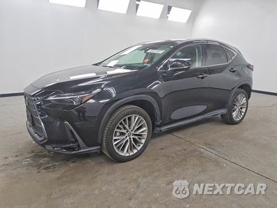 2024 LEXUS NX 350 LUXURY 2T2HGCEZ4RC048672 - główne zdjęcie licytacji z USA - miniatura