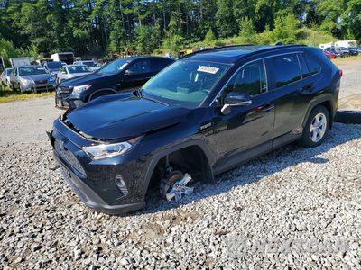 2021 TOYOTA RAV4 XLE JTMRWRFV9MD136381 - główne zdjęcie licytacji z USA - miniatura