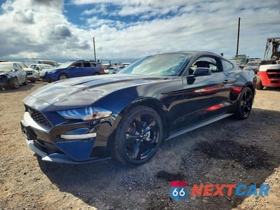2023 FORD MUSTANG 1FA6P8TH5P5108025 - główne zdjęcie licytacji z USA - miniatura