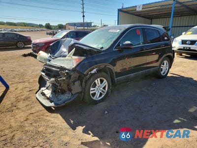 2010 HONDA CR-V EXL 5J6RE4H78AL018158 - główne zdjęcie licytacji z USA - miniatura