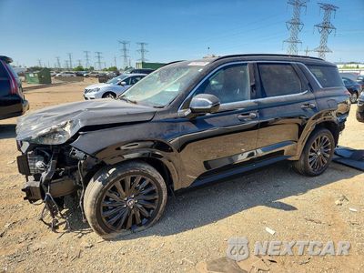 2025 HYUNDAI PALISADE CALLIGRAPHY NIGHT EDITION KM8R7DGE0SU949549 - główne zdjęcie licytacji z USA - miniatura