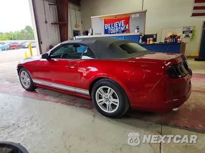 Drugie zdjęcie samochodu z przodu: 2014 FORD MUSTANG VIN:1ZVBP8EM0E5283585 - miniatura