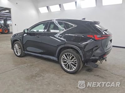 Drugie zdjęcie samochodu z przodu: 2024 LEXUS NX 350 LUXURY VIN:2T2HGCEZ4RC048672 - miniatura