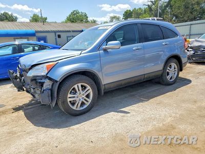 2010 HONDA CR-V EXL 5J6RE4H73AL026135 - główne zdjęcie licytacji z USA - miniatura