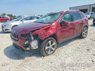 2019 JEEP CHEROKEE LIMITED 1C4PJMDX2KD252418 - główne zdjęcie licytacji z USA - miniatura