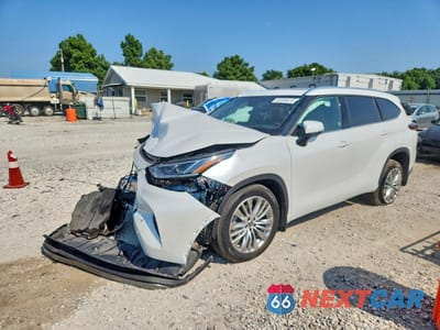 2025 TOYOTA HIGHLANDER PLATINUM 5TDKDRBH9SS580255 - główne zdjęcie licytacji z USA - miniatura