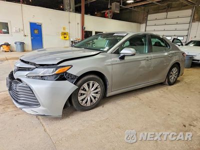 2019 TOYOTA CAMRY LE 4T1B31HK8KU006003 - główne zdjęcie licytacji z USA - miniatura