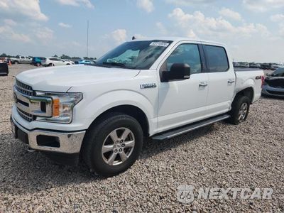 2019 FORD F150 SUPERCREW 1FTEW1E52KFB48875 - główne zdjęcie licytacji z USA - miniatura