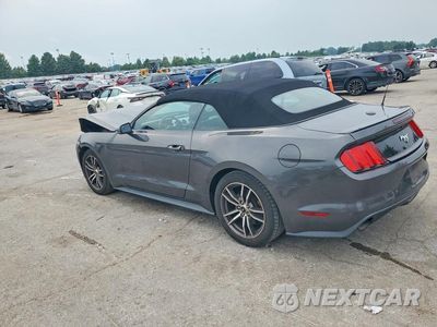 Drugie zdjęcie samochodu z przodu: 2016 FORD MUSTANG VIN:1FATP8UH1G5329610 - miniatura