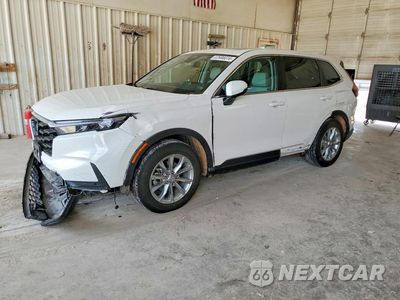 2025 HONDA CR-V EXL 2HKRS4H76SH462224 - główne zdjęcie licytacji z USA - miniatura