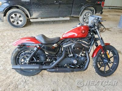 2019 HARLEY-DAVIDSON XL883 N 1HD4LE213KC419374 - główne zdjęcie licytacji z USA - miniatura