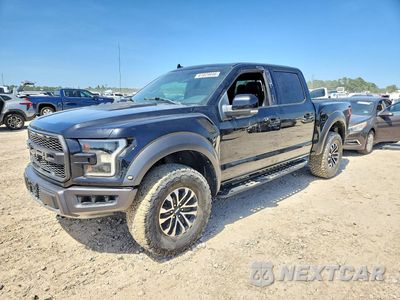 2019 FORD F150 RAPTOR 1FTFW1RG7KFB28069 - główne zdjęcie licytacji z USA - miniatura