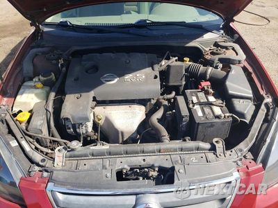 Zdjęcie 11 z 12 samochodu: 2003 NISSAN ALTIMA 2.5 VIN:1N4AL11D53C164999 - miniatura
